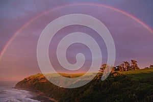 Sunrise in Bushy Beach Scenic Reserve in Oamaru, New Zealand