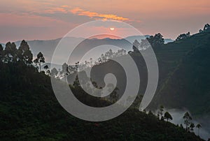Sunrise in Bwindi Impenetrable Forest, Uganda