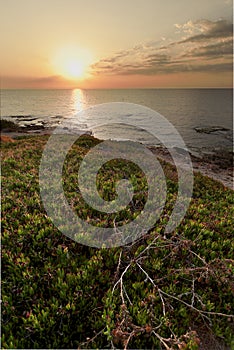 Sunrise at Cabo Cervera in Torrevieja, Alicante province in Spain