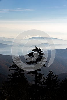 Sunrise in Cades Cover in the Great Smoky Mountains National Park in Tennessee