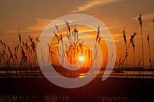 Sunrise at Cae Glas photo