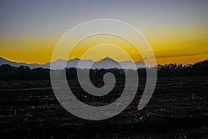 Sunrise in cane field with mountains and volcano in the background, photo