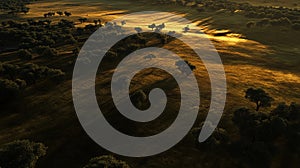 Sunrise casts long shadows over a vast landscape dotted with scattered trees photo