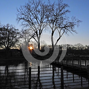 Sunrise on Cayuga Lake dock with tree silhouettes