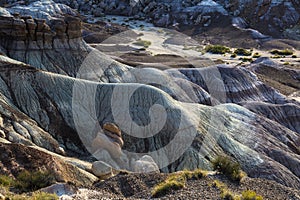 Sunrise at Chindi Point in Painted Desert National Park near Holbrook Arizona USA