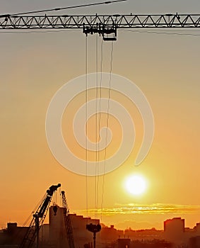 Sunrise in the city with cranes silhouettes and buildigs in the