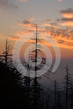 Sunrise, Clingmans Dome, Great Smoky Mountains