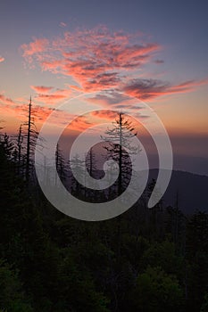 Sunrise, Clingmans Dome, Great Smoky Mountains