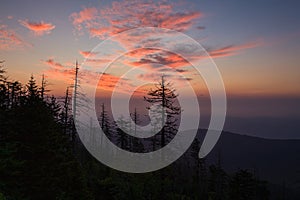 Sunrise, Clingmans Dome, Great Smoky Mountains