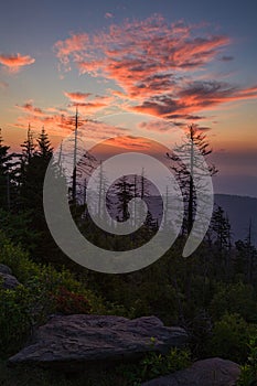 Sunrise, Clingmans Dome, Great Smoky Mountains