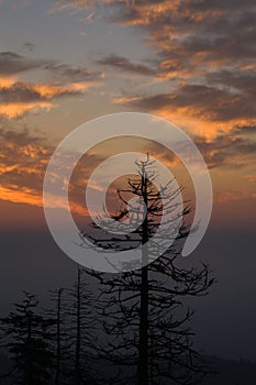 Sunrise, Clingmans Dome, Great Smoky Mountains