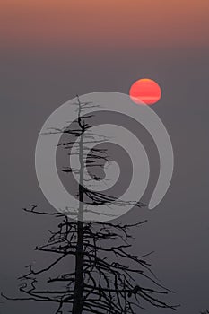 Sunrise, Clingmans Dome, Great Smoky Mountains