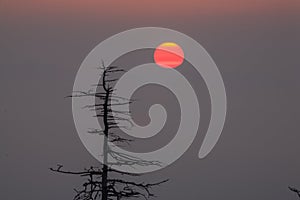 Sunrise, Clingmans Dome, Great Smoky Mountains