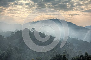Sunrise clouds and morning mist in Bwindi Impenetrable National Park photo