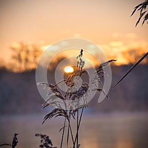 Sunrise on a cold winter morning by the lake