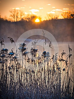 Sunrise on a cold winter morning by the lake