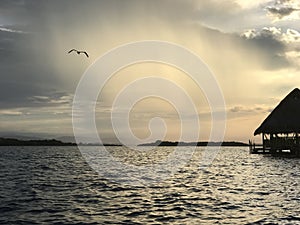 An sunrise at the coral beach