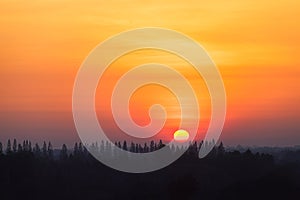 Sunrise at countryside with silhouette pine tree.