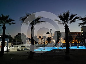 Sunrise in Cyprus. A swimming pool surrounded by sun loungers and parasols surrounded by palm trees against a dark blue sky