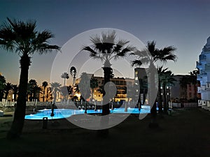 Sunrise in Cyprus. A swimming pool surrounded by sun loungers and parasols surrounded by palm trees against a dark blue sky