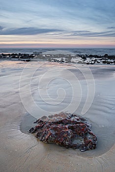 Sunrise dawn landscape on rocky sandy beach with vibrant sky and