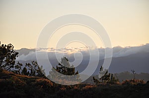 Mount Ulap, mt Ulap, Cordillera Mountain, Cordillera mountain ranges, Sea of Clouds, itogon, Benguet, Philippines,, Luzon photo