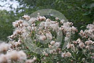 sunrise day beautifulness