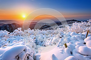 Sunrise on Deogyusan mountains covered with snow in winter,korea.