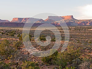 Sunrise on desert cliffs