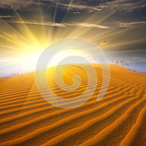 Sunrise in the desert. Planet earth.