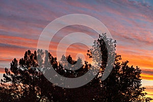 Sunrise in the desert southwest near Mesa, Arizona