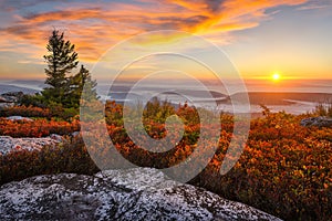 Sunrise, Dolly Sods, West Virginia