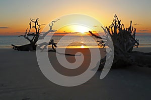 Sunrise on Driftwood Beach, Georgia