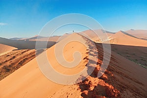 Sunrise dunes of Namib desert, South Africa