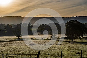 Sunrise and early morning mist over fields Beautiful countryside view