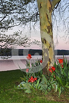 Spring twilight sunrise from Cayuga Lake Ithaca NYS