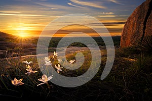 Sunrise on Enchanted Rock