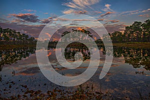 Sunrise in  Everglades National Park