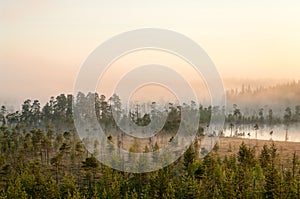 Sunrise in evergreen forest with bog, haze over water and land, northern Karelia, Russia