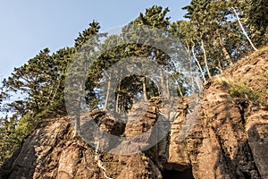 Sunrise famous Hopewell Rocks geologigal formations at low tide biggest tidal wave Fundy Bay New Brunswick Canada