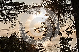 Sunrise famous Hopewell Rocks geologigal formations at low tide biggest tidal wave Fundy Bay New Brunswick Canada