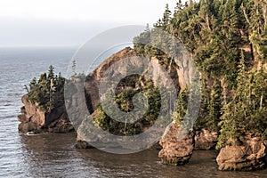 Sunrise famous Hopewell Rocks geologigal formations at low tide biggest tidal wave Fundy Bay New Brunswick Canada