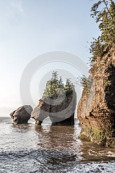 Sunrise famous Hopewell Rocks geologigal formations at low tide biggest tidal wave Fundy Bay New Brunswick Canada