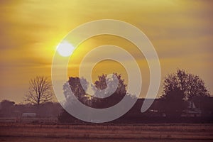 Sunrise in the field in the early misty morning