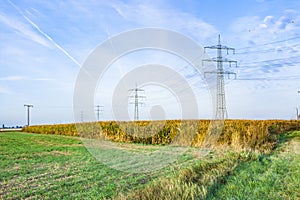 Sunrise with field and electric pylon