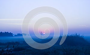 Sunrise at the field with fog floating over the field, Kerala, India