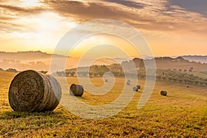 Sunrise on a Field of Hay Roundels