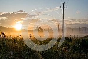 Sunrise in a field with lots of vegetation, trees and electricity poles. fog at ground level. It seems to be a crepuscular area