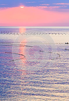 Sunrise and Fishing Nets on Sea Surface.