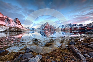 Sunrise over Reine, Norway photo